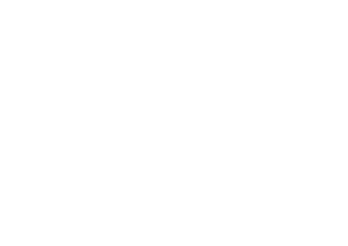 Domenico Dragonetti Instruments